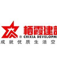 棲霞建設(shè)董事會(huì)決議公告 選舉江勁松為董事長(zhǎng)、總裁及投資興辦實(shí)業(yè)